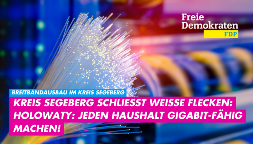 Stephan Holowaty (FDP): Wir müssen jeden Betrieb, jeden Haushalt gigabitfähig machen!