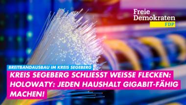 Stephan Holowaty (FDP): Wir müssen jeden Betrieb, jeden Haushalt gigabitfähig machen!