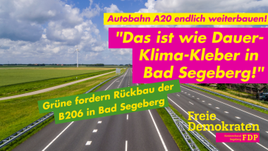 Stephan Holowaty: „Das ist wie Dauer-Klima-Kleber in Bad Segeberg“